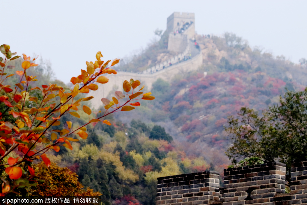 Great Wall Art Tour