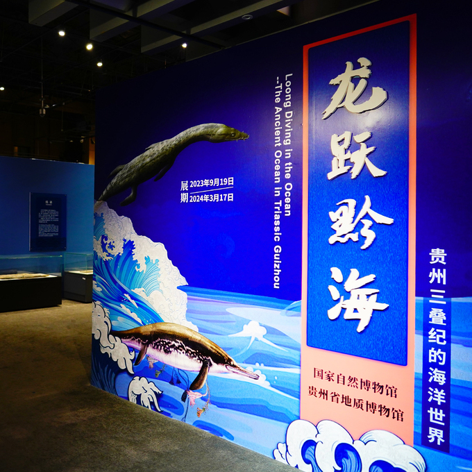 New Year Exhibitions | Loong Diving in the Ocean: The Ancient Ocean in Triassic Guizhou
